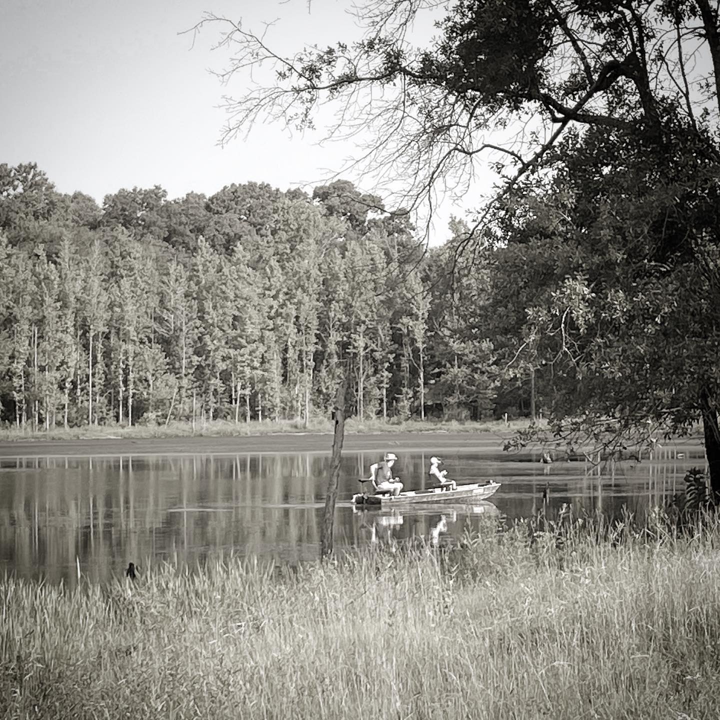 Welcome to Stein Ranch & Land: Exploring Texas Ranches, Outdoors, and Real Estate