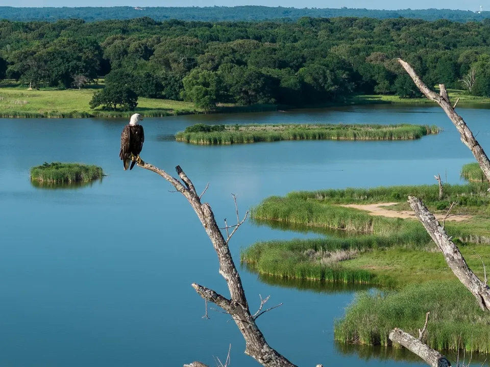 From Wall Street to Y’all Street: Why North Texas May Be the Beginning of Your Texas Ranch Story